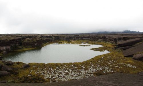 Zdjecie WENEZUELA / - / Roraima / jezioro Gladys