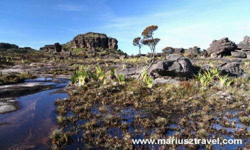 Zdjcie WENEZUELA / gran sabana / Roraima / zaginiony swiat Roraimy