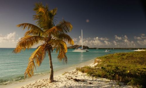 Zdjecie WENEZUELA / Archipelag  / Los Roques / Samotna palemka na Morzu Karaibskim