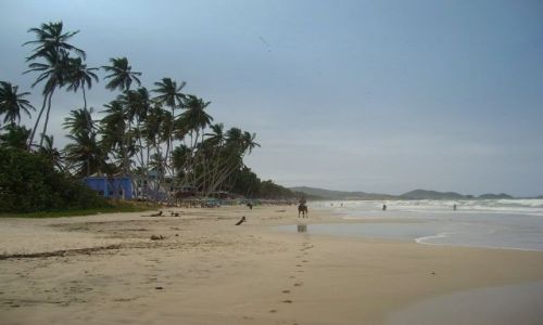 Zdjcie WENEZUELA / Playa El Aqua / plaa / Margarita