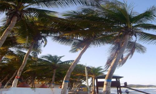 Zdj�cie WENEZUELA / Margarita / plaza / Playa El Aqua
