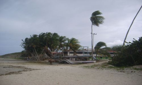 Zdjcie WENEZUELA / Margarita / Playa El Aqua / wietrzne popoudnie
