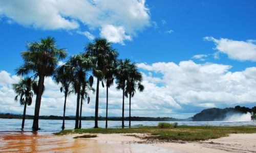Zdjecie WENEZUELA / Canaima National Park / Canaima / Canaima