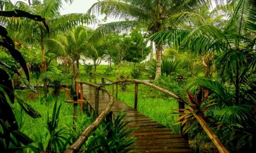 Zdjęcie WENEZUELA / DELTA ORINOCO / LODGE / Ciągle Pada .....