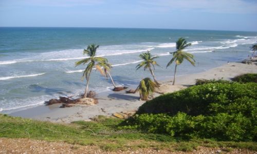 Zdjcie WENEZUELA / Playa El Aqua / wybrzee / na Margaricie