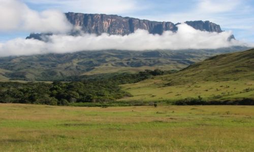 Zdjęcie WENEZUELA / Gran Sabana / Kukenan / Takie tam o poranku ;)