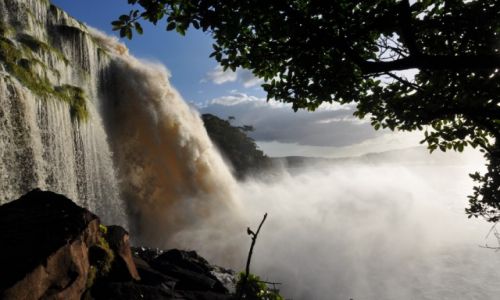 Zdjęcie WENEZUELA / Pln-wsch Wenezuela / Canaima National Park / Konkurs