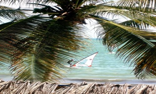 Zdjcie WENEZUELA / - / Margerita / windsurfer