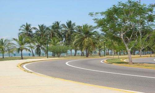 Zdjcie WENEZUELA / Venezuela / Maracaibo / Venezuela Palm Park