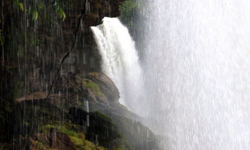 Zdjęcie WENEZUELA / Canaima / Wodospad  SALTO SAPO na rzece RIO CARGO / EL Sapito