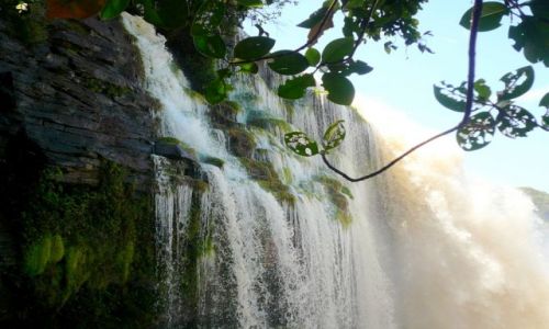 Zdjecie WENEZUELA / brak / Canaima / Salto Hacha