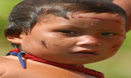 Zdjęcie WENEZUELA / amazonas / coshilowateri / ...
