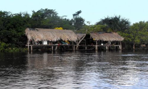 Zdjęcie WENEZUELA / delta Orinoko / wioska indian / u indian Warao