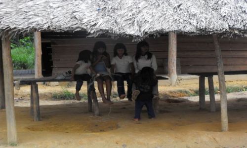 Zdjęcie WENEZUELA / delta Orinoko / wioska indian / u indian Warao