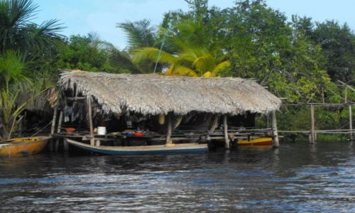 Zdjęcie WENEZUELA / delta Orinoko / wioska indian / u indian Warao