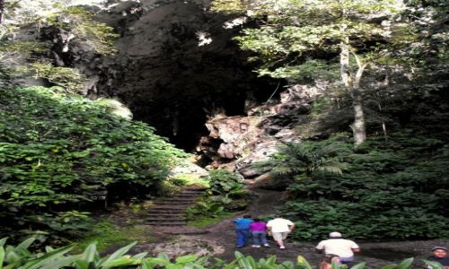 Zdjęcie WENEZUELA / Caripe / wejscie do jaskinii / jaskienia Guacharo