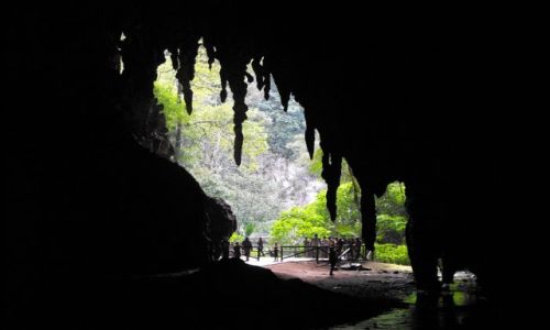 Zdjęcie WENEZUELA / Caripe / widok wejścia od wewnątrz / jaskinia Guacharo