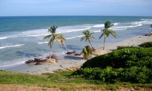 Zdjcie WENEZUELA / wyspa Margarita / wybrzee / Playa El Aqua/Margarita