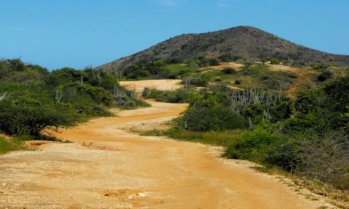 Zdjęcie WENEZUELA / El Maguey / w drodze na dzikie plaże / Margarita w styczniu