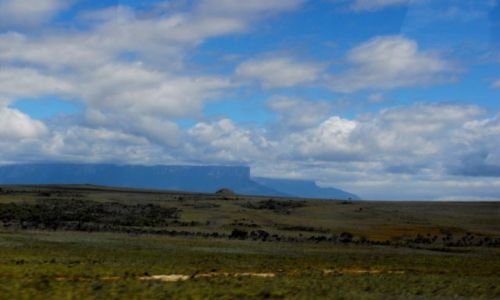 Zdjcie WENEZUELA / Gran Sabana / sawanna  / Gran Sabana