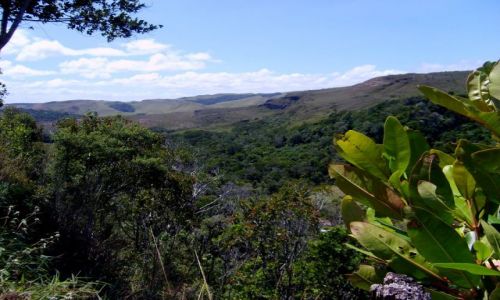 Zdjcie WENEZUELA / Gran Sabana / panorama / Gran Sabana
