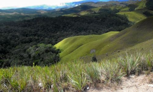 Zdjęcie WENEZUELA / Gran Sabana / W TRASIE / panorama