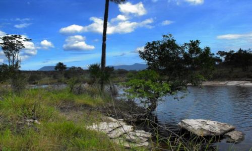 Zdjęcie WENEZUELA / park narodowy Canaima / warte zobaczenia / Canaima