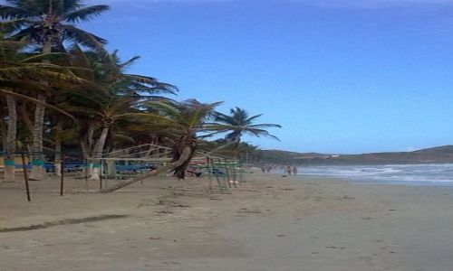 Zdjcie WENEZUELA / Margarita / Playa El Aqua / palmowe wybrzee