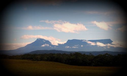 Zdjęcie WENEZUELA / Gran Sabana / Canaima  / monumentalizm