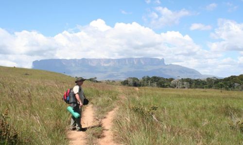 Zdjecie WENEZUELA / Gran Sabana / w drodze na tepui Roraima / Wenezuela
