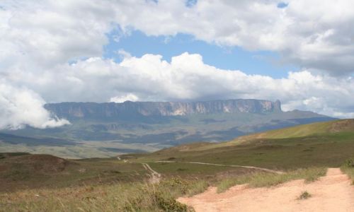 Zdjecie WENEZUELA / Gran Sabana / Roraima / Wenezuela
