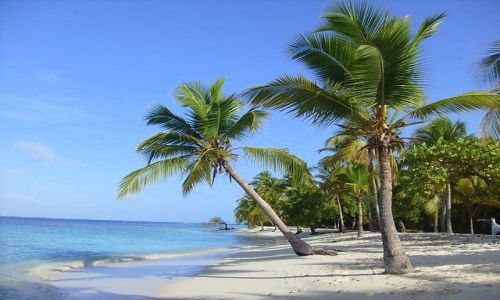 Zdjecie WENEZUELA / Wenezuela Park Morrocoy / cayo sombrero / Rajskie klimaty