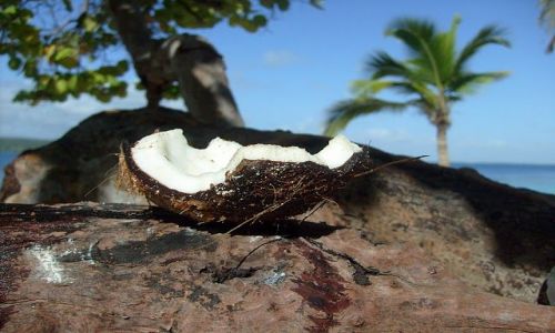 Zdjecie WENEZUELA / Wenezuela Park Morrocoy / cayo sombrero / Rajskie klimaty