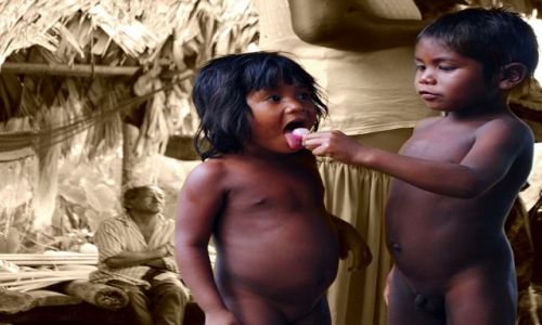 Zdjęcie WENEZUELA / Delta Orinoko  / jeden z dopływów Orinoko / altruizm