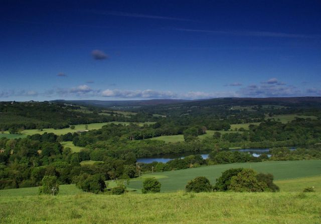 Zdjęcia: Witton le Wear, Country Durham, lato w UK, WIELKA BRYTANIA Zdjęcia: Witton le Wear, Country Durham, lato w UK, WIELKA BRYTANIA