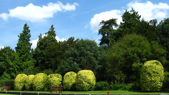 Zdjęcia: Bicester, Oxfordshire, W parku, WIELKA BRYTANIA Zdjęcia: Bicester, Oxfordshire, W parku, WIELKA BRYTANIA