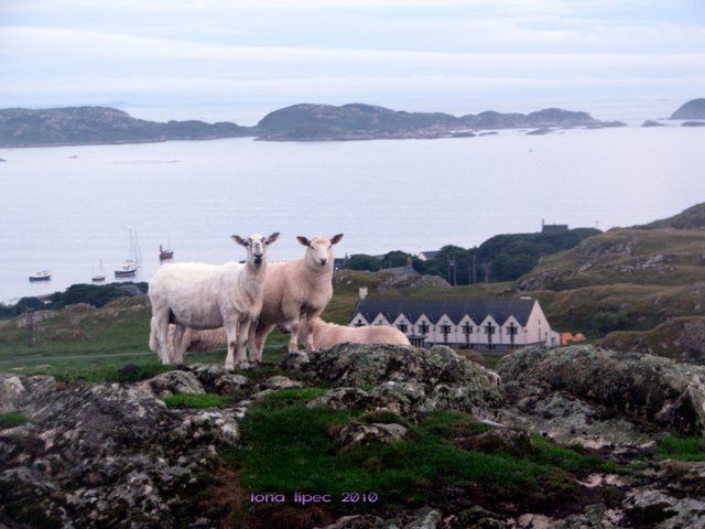 Zdjęcia: IONA, Szkocja, Iona, WIELKA BRYTANIA Zdjęcia: IONA, Szkocja, Iona, WIELKA BRYTANIA