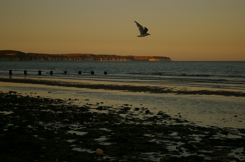 Zdjęcia: Bridlington, Bridlington, Konkurs-natura, WIELKA BRYTANIA Zdjęcia: Bridlington, Bridlington, Konkurs-natura, WIELKA BRYTANIA
