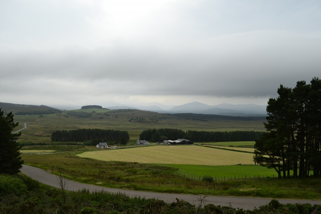 Zdjęcia: w drodze do Aviemore, Szkocja, Gdzieś daleko..., WIELKA BRYTANIA Zdjęcia: w drodze do Aviemore, Szkocja, Gdzieś daleko..., WIELKA BRYTANIA