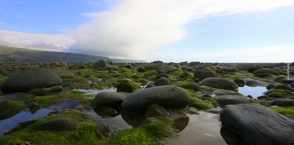 Zdjęcia: Abermaw, Walia / Gwynedd, Pomiedzy Snowdonia a Anglesey, WIELKA BRYTANIA Zdjęcia: Abermaw, Walia / Gwynedd, Pomiedzy Snowdonia a Anglesey, WIELKA BRYTANIA
