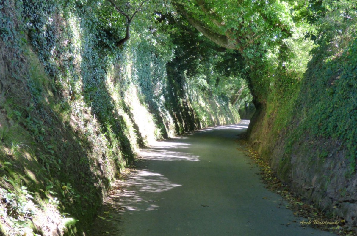 Zdjęcia: Bouley Bay, Jersey, W drodze do..., WIELKA BRYTANIA Zdjęcia: Bouley Bay, Jersey, W drodze do..., WIELKA BRYTANIA