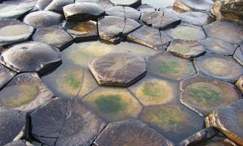 Zdjecie WIELKA BRYTANIA / Irlandia Pnocna / hr. Antrim/Giant's Causeway / Giant's Causeway
