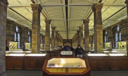 Zdjecie WIELKA BRYTANIA / LONDYN / LONDYN / MUZEUM HISTORII NATURALNEJ