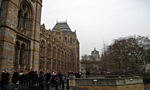 Zdjecie WIELKA BRYTANIA / LONDYN / LONDYN / MUZEUM HISTORII NATURALNEJ