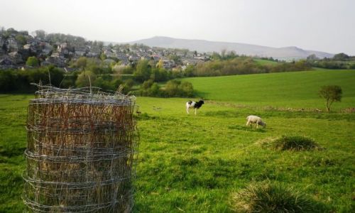 Zdjcie WIELKA BRYTANIA / Yorkshire / Skipton / Skipton