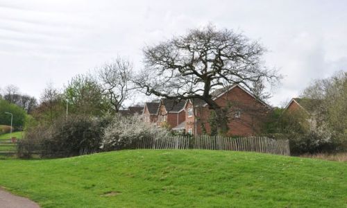 Zdj�cie WIELKA BRYTANIA / - / Segensworth / Chatka Puchatka ...