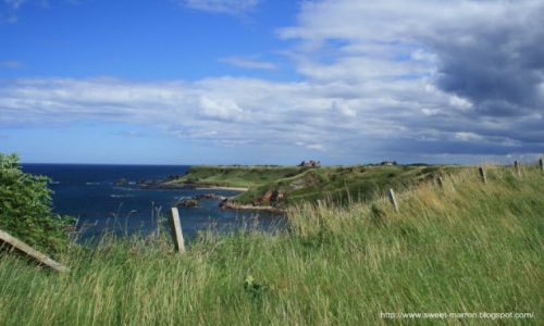 Zdjecie WIELKA BRYTANIA / Szkocja / North Berwick / North Berwick
