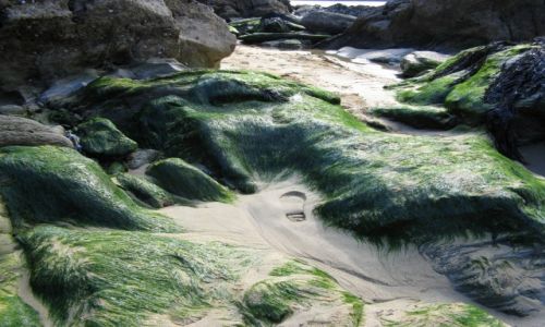 Zdjęcie WIELKA BRYTANIA / Kornwalia / Plaza Tolcarn / Zgubiony ślad