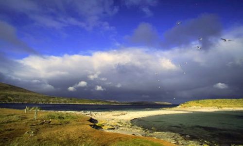 Zdjecie WIELKA BRYTANIA / Falklandy Malwiny /  Stanley i okolce / W odleglej krainie ..