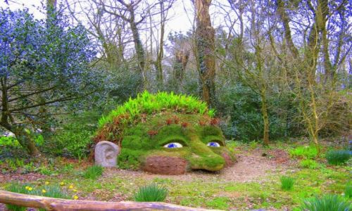 Zdjecie WIELKA BRYTANIA / Kornwalia / Los Gardens of Heligan / Giant's  Head